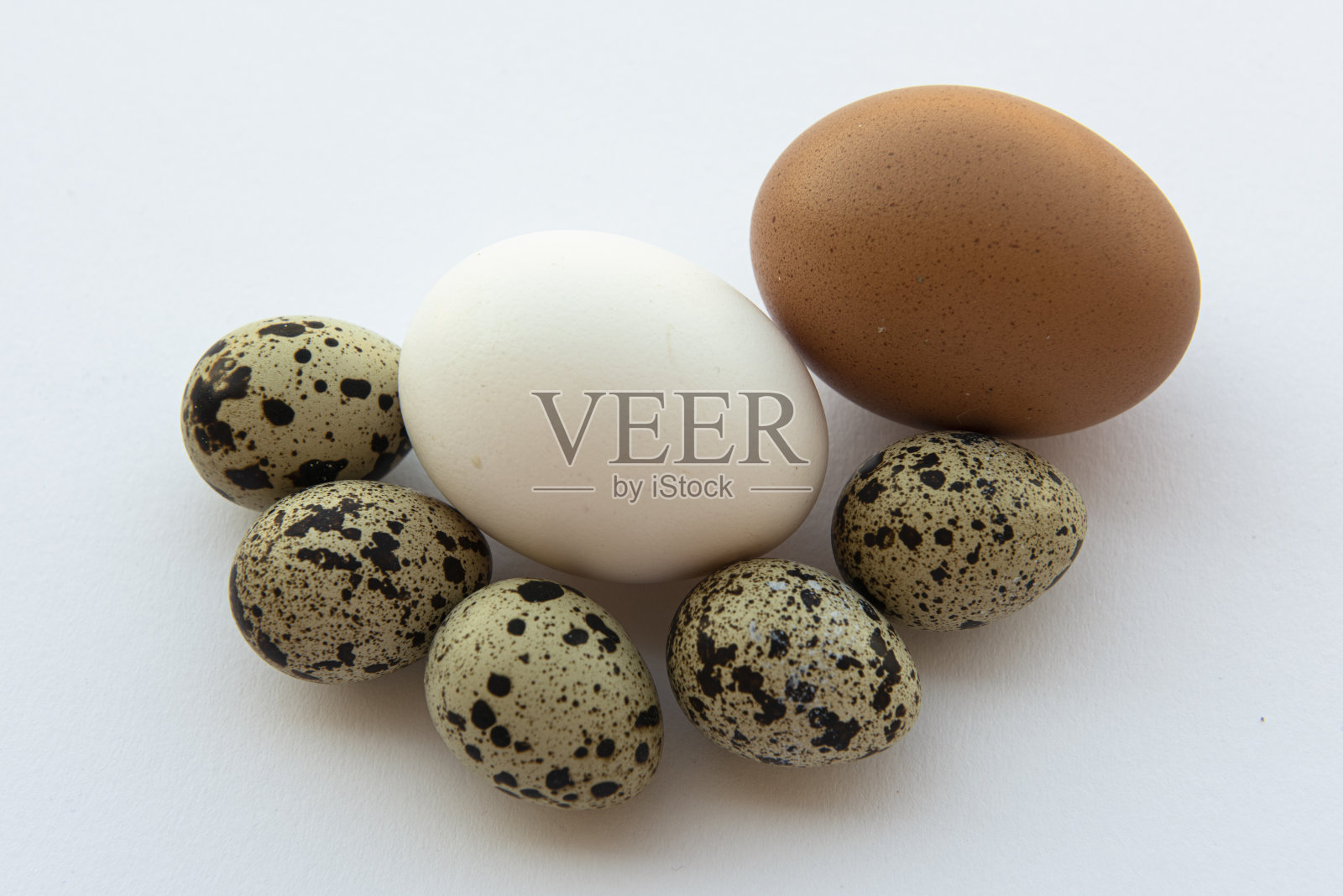 鸡蛋,照片摄影图片