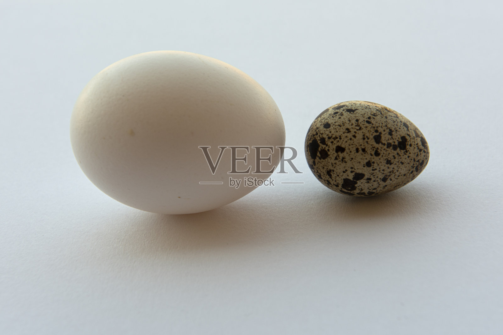 鸡蛋,照片摄影图片