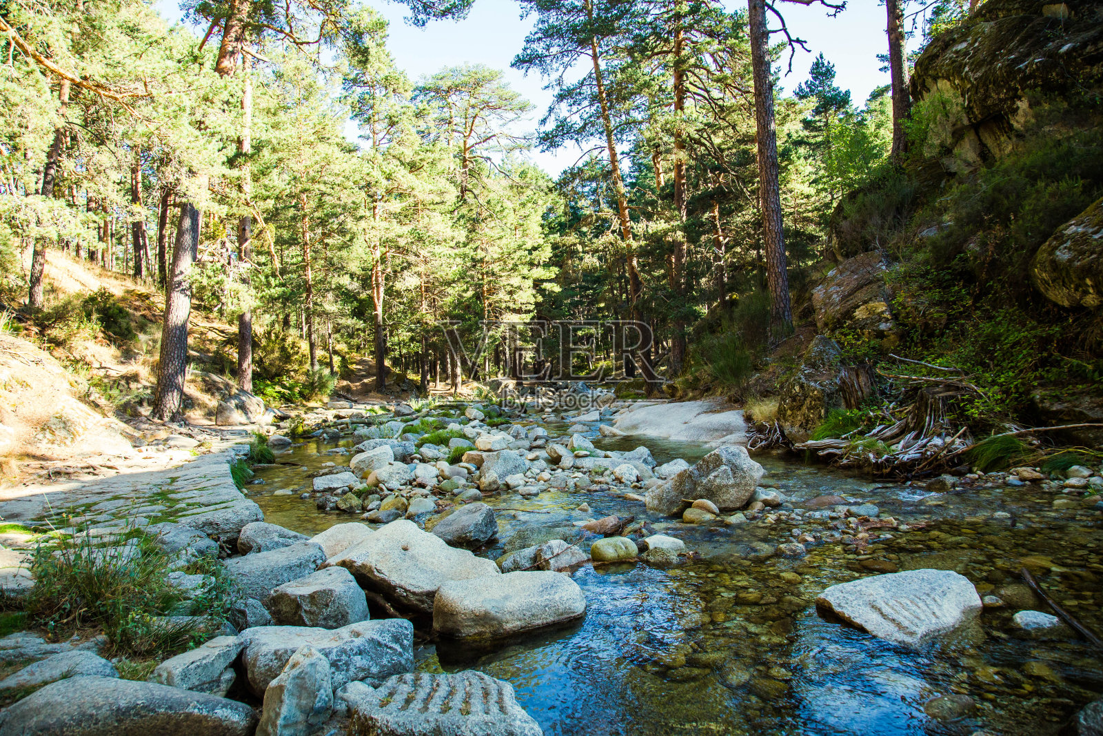 到野外照片摄影图片