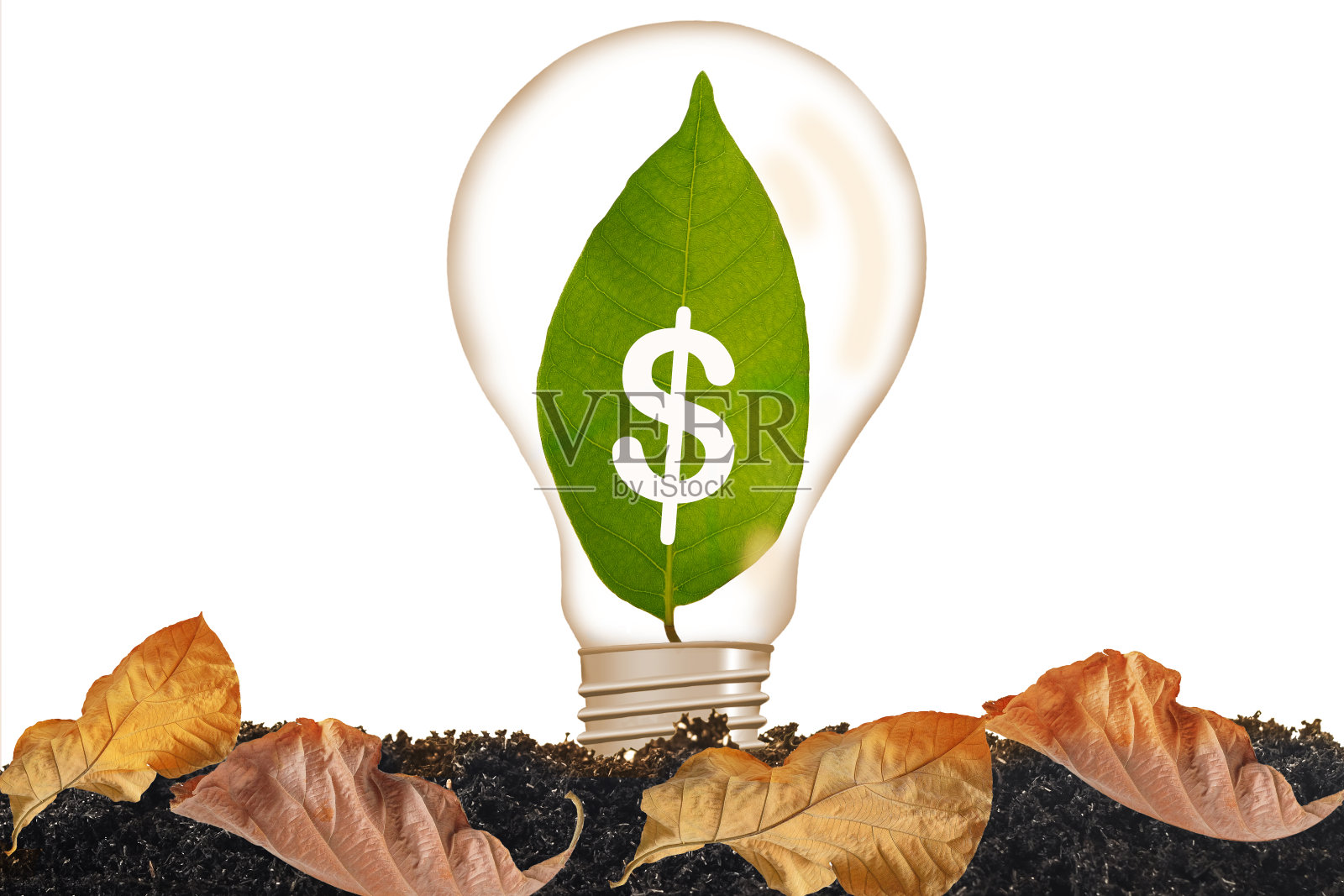 绿色的叶子生长在灯泡背景。照片摄影图片