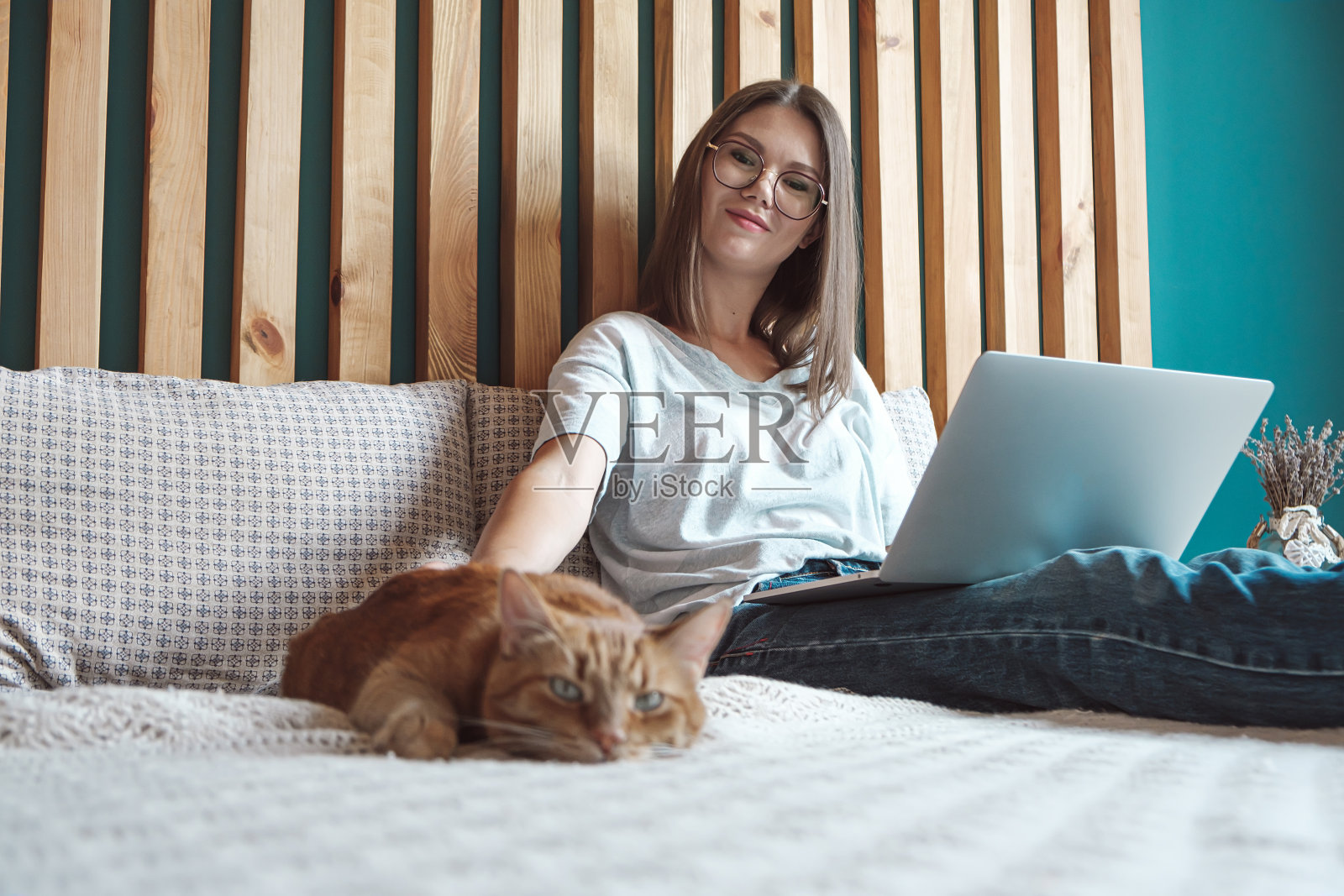 年轻女子用笔记本电脑工作，躺在床上，卧室里有一只宠物猫。灵活的工作时间和远程工作。照片摄影图片