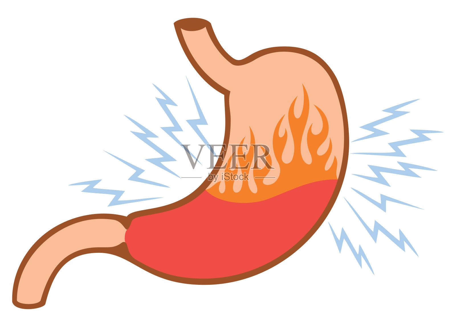 人类内部的胃插画图片素材