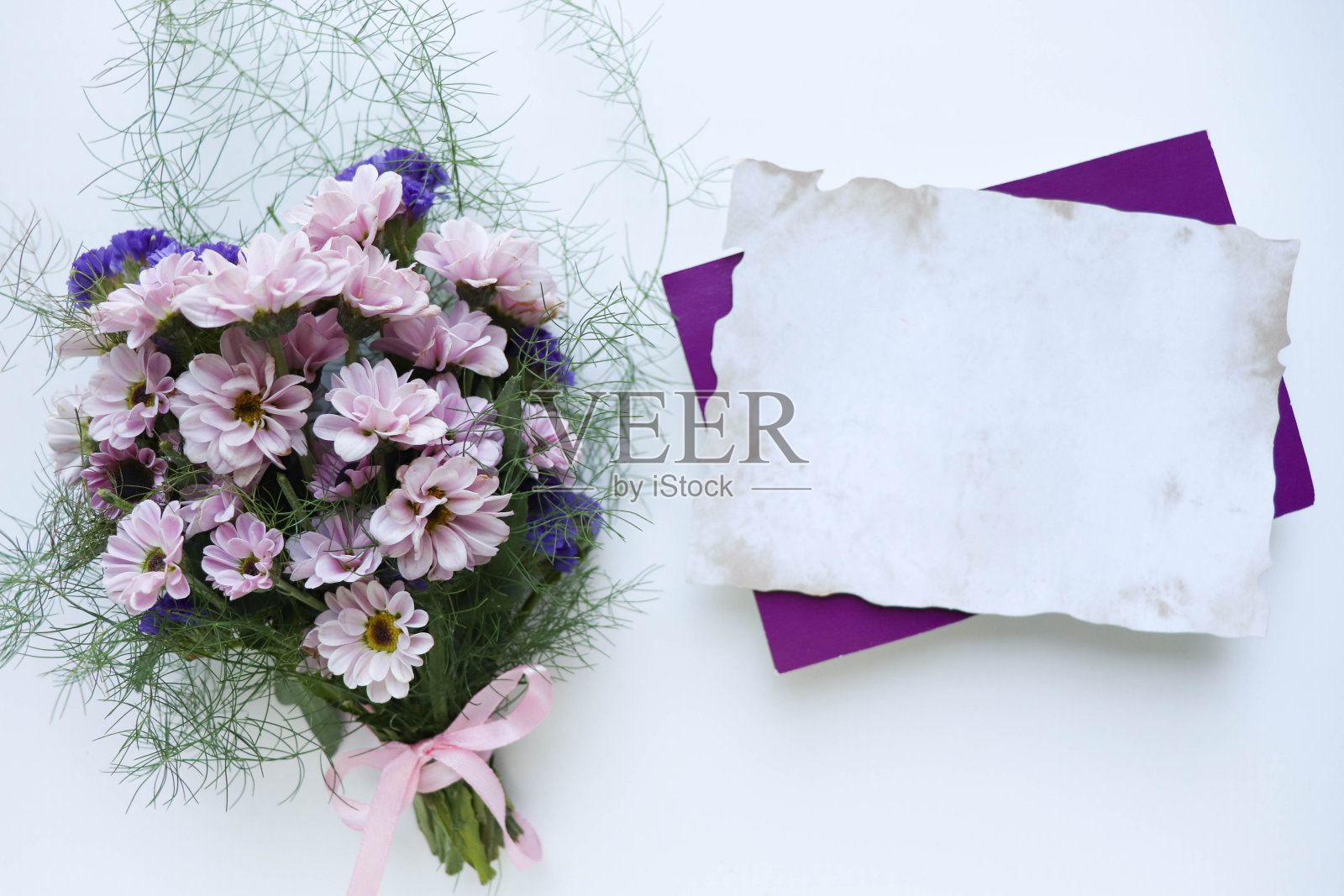 菊花花束在白色背景和文本空间。照片摄影图片