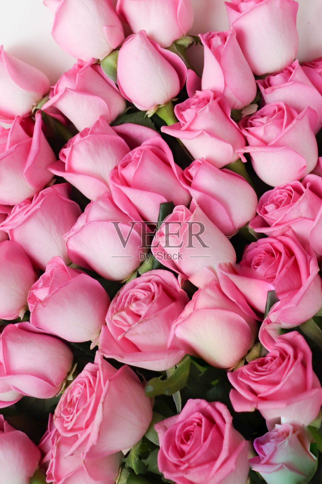 美丽的花照片摄影图片