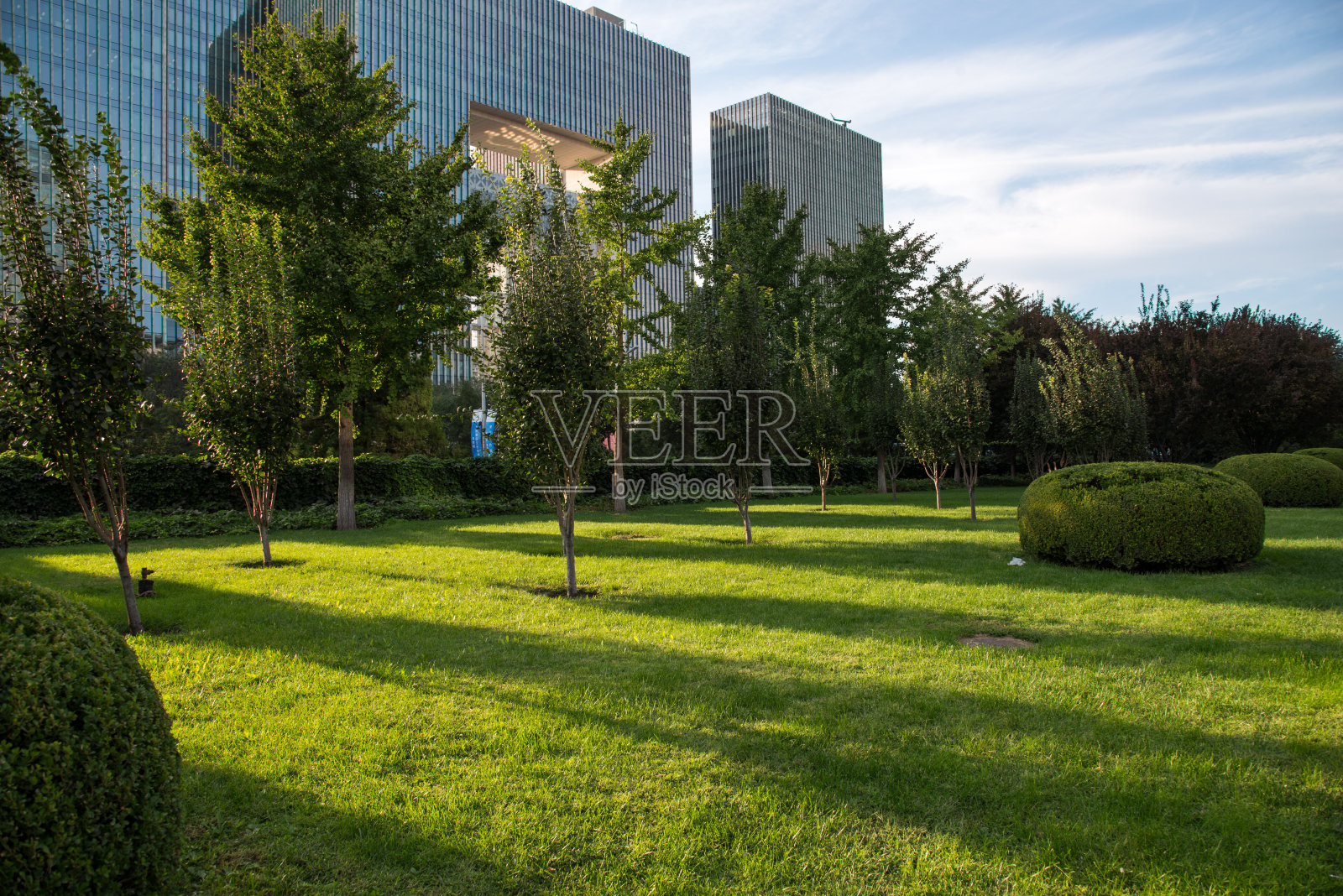 草坪照片摄影图片