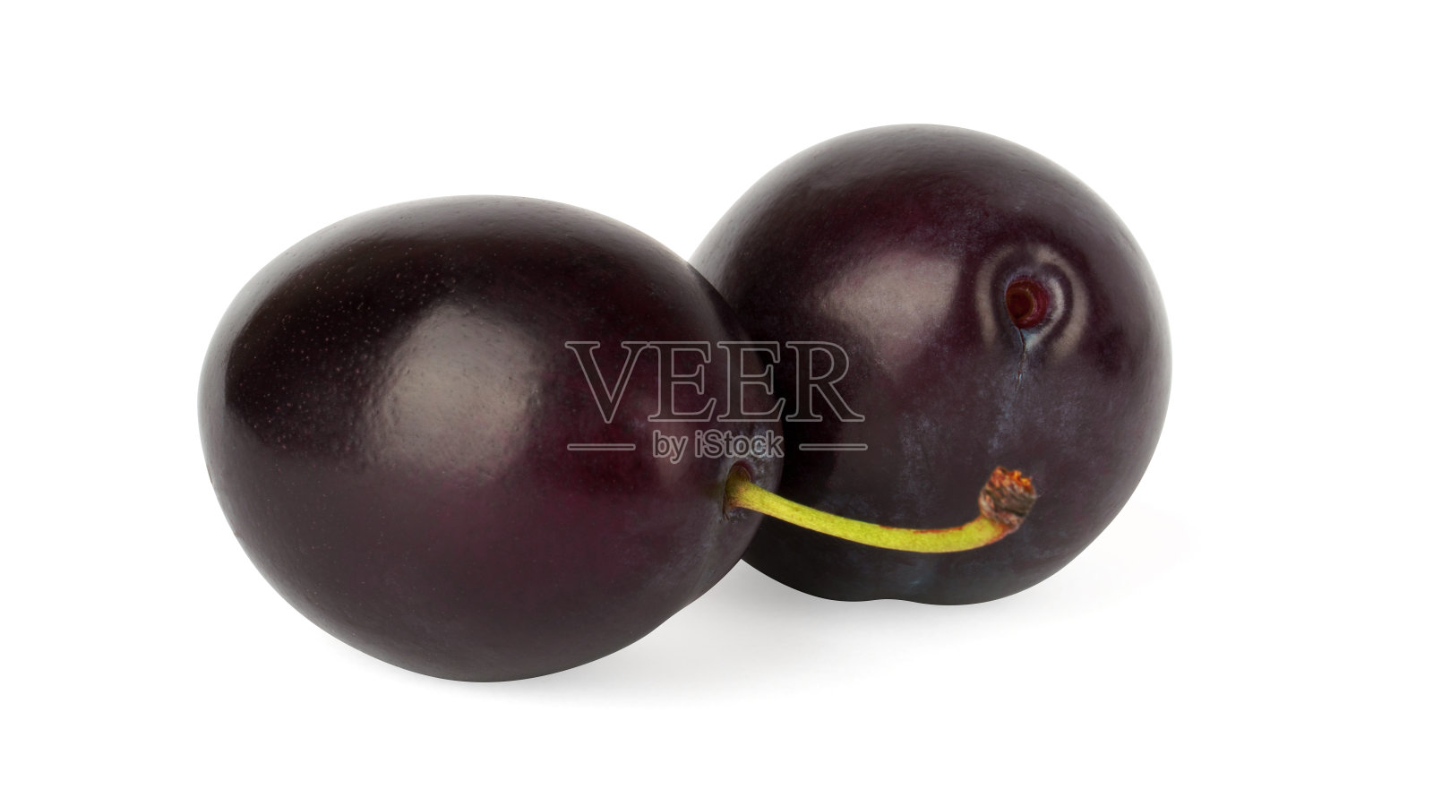 李子孤立在白色背景上。成熟的李子照片摄影图片