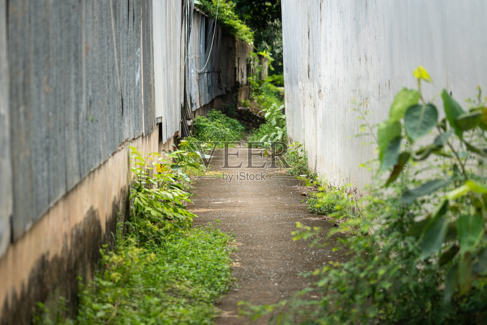 有窄墙的直巷。照片摄影图片
