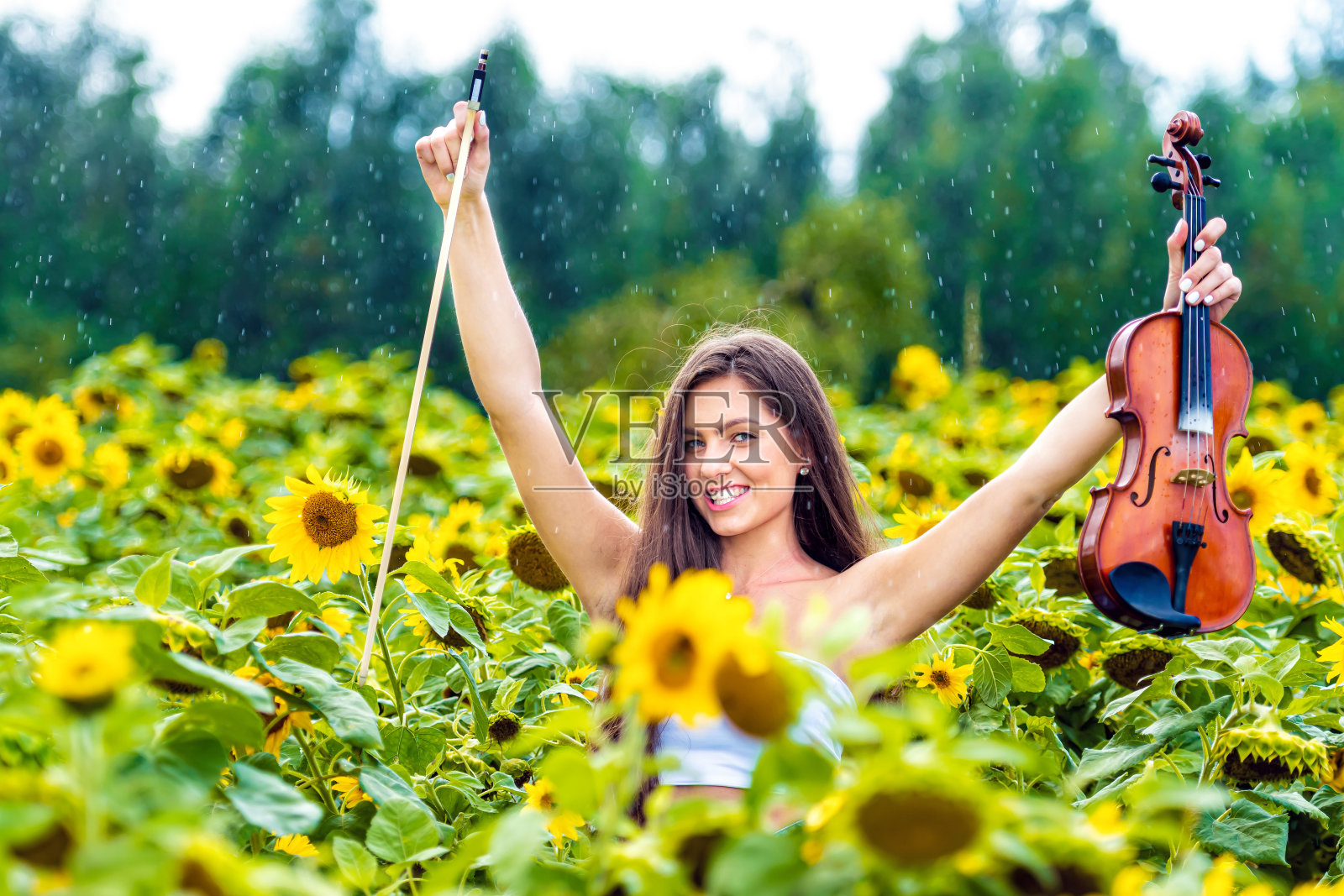 美丽苗条的少女带着小提琴在黄色盛开的向日葵地里下雨天照片摄影图片