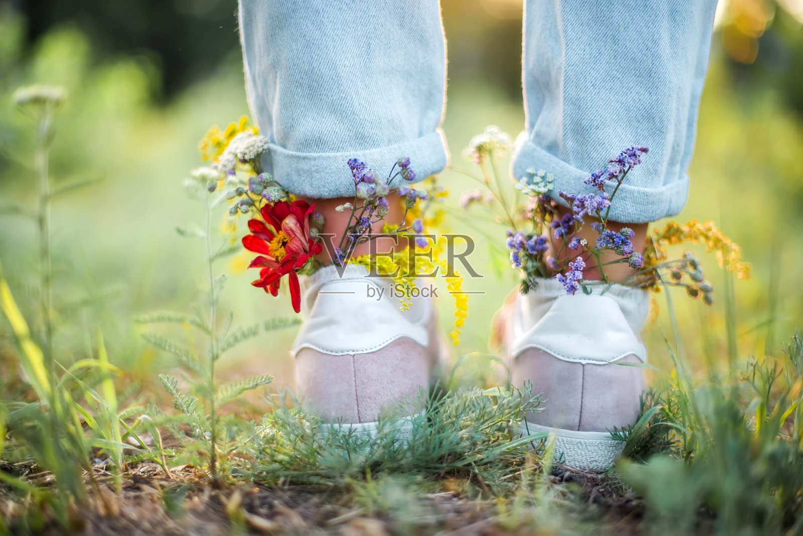 夏日田野上穿着鞋子的美丽野花。夏天的背景照片摄影图片