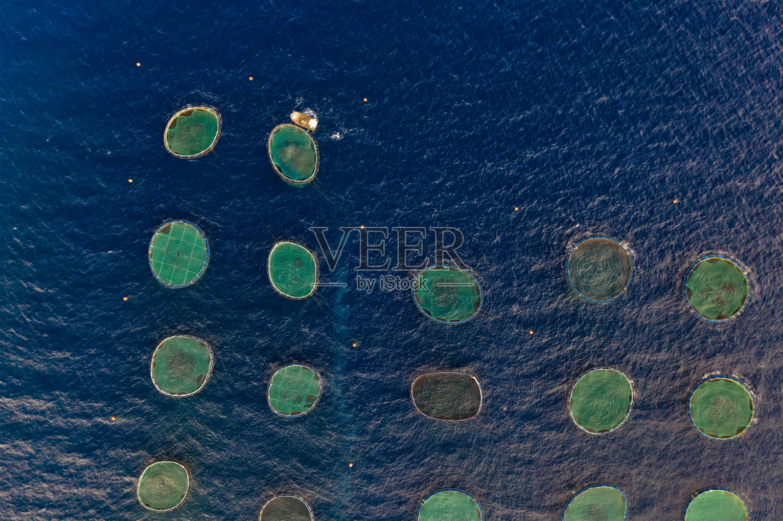 俯瞰海面上的渔场照片摄影图片