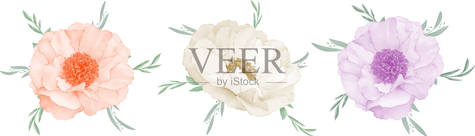 银莲花花束水彩画集设计设计元素图片