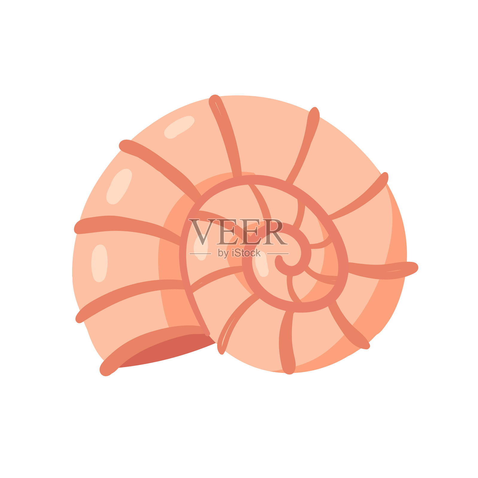 螺旋形的贝壳类软体动物，来自海洋设计元素图片