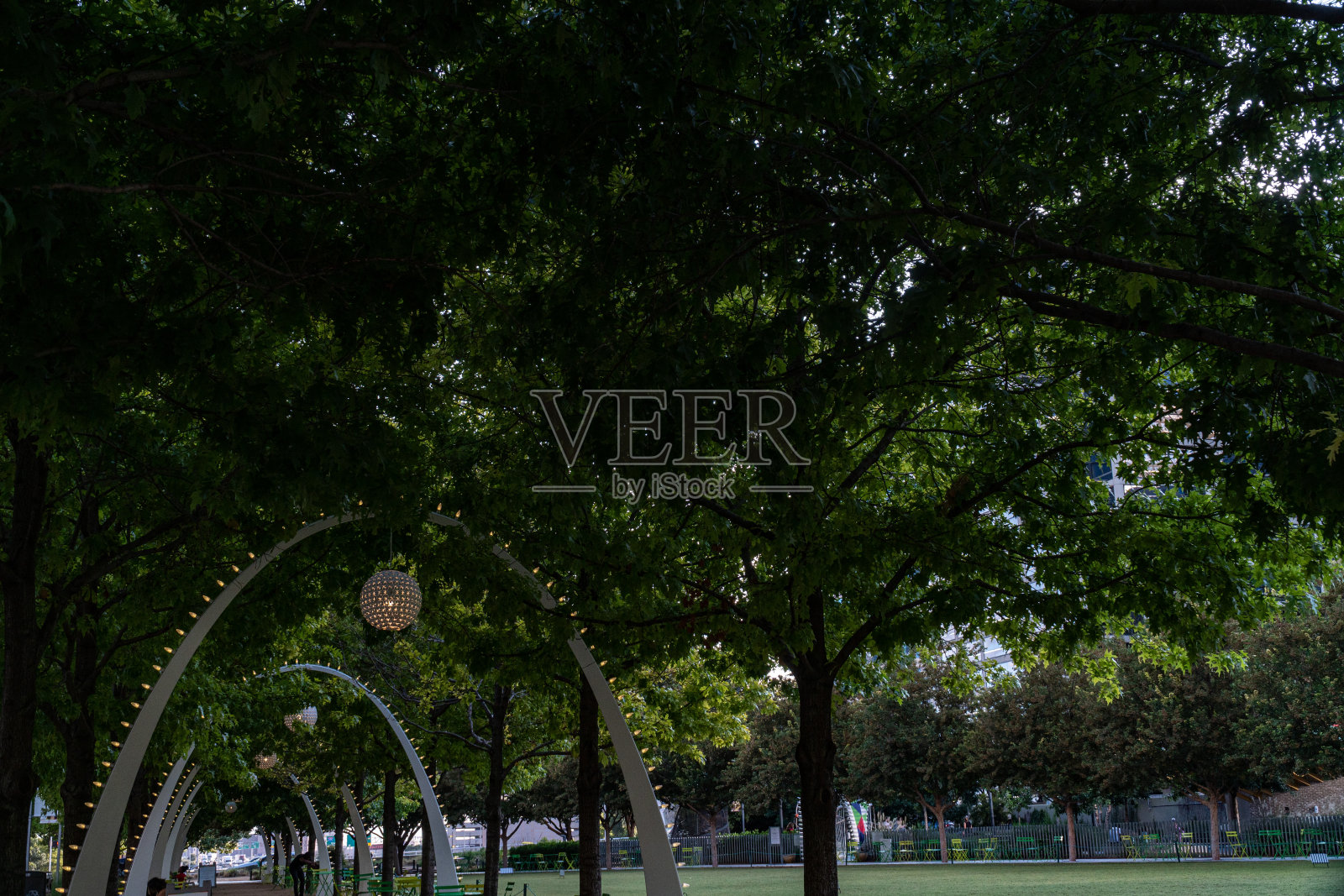 德克萨斯州达拉斯市中心的克莱德·沃伦公园照片摄影图片