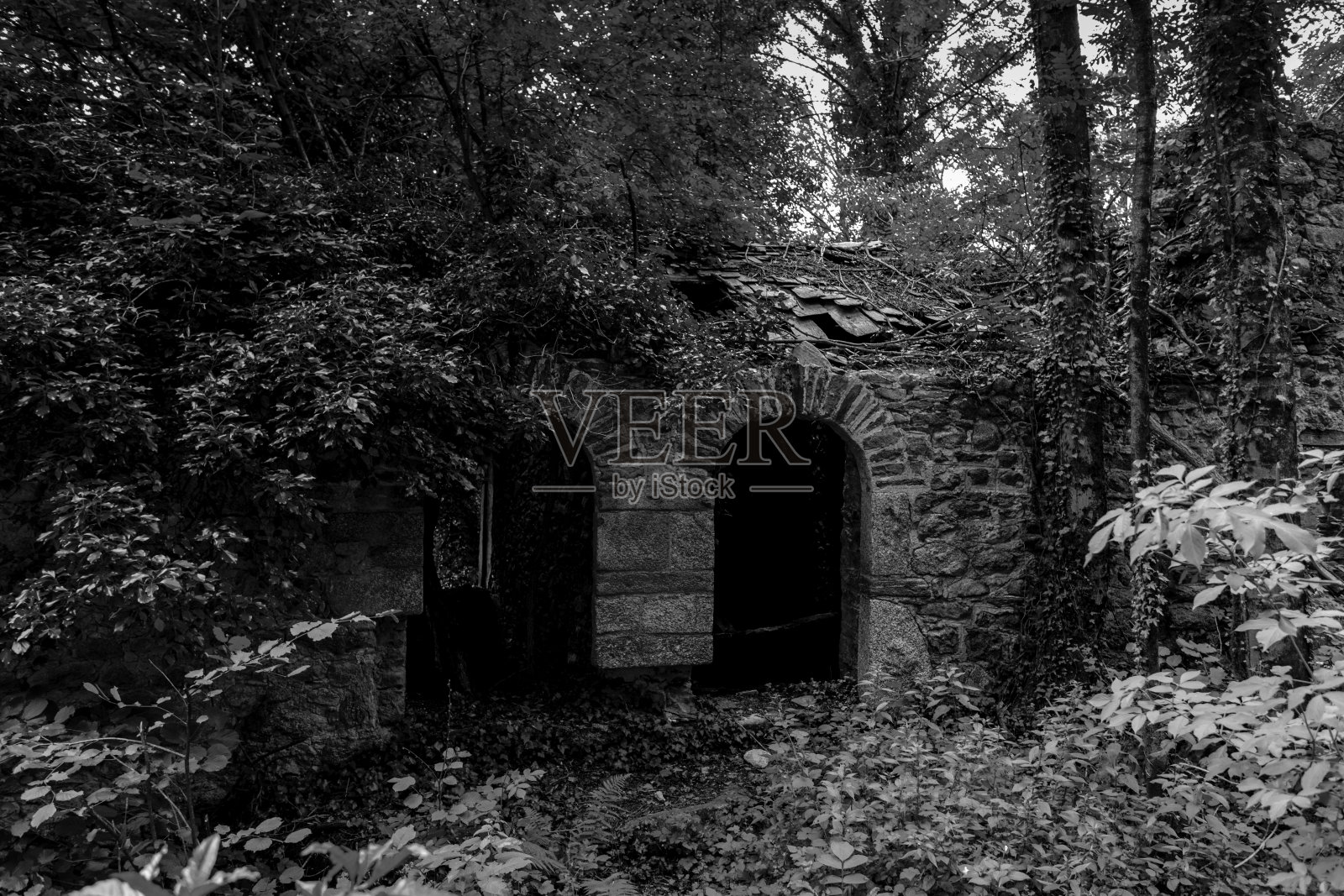 这个被废弃的房子里照片摄影图片