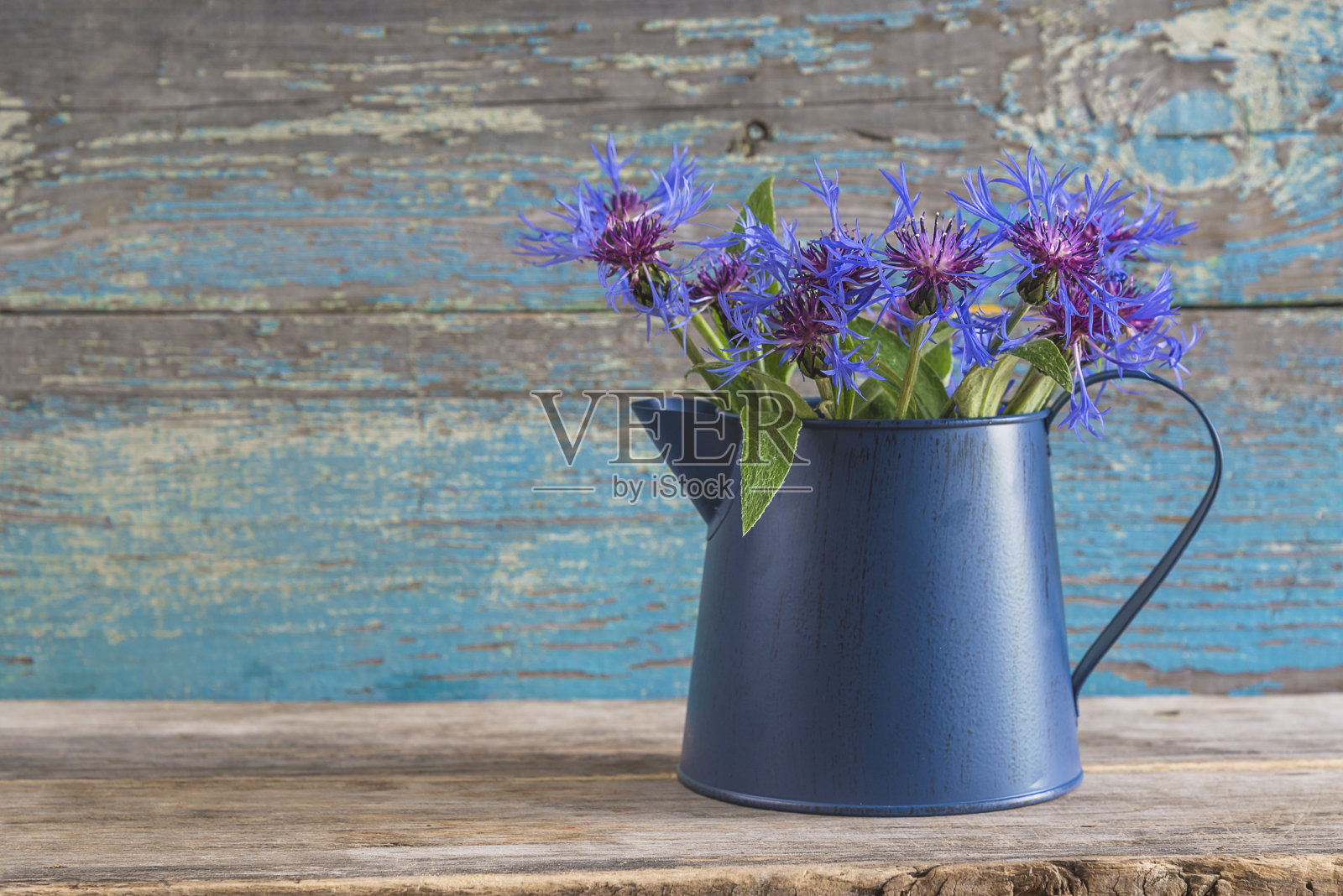 夏天的贺卡照片摄影图片