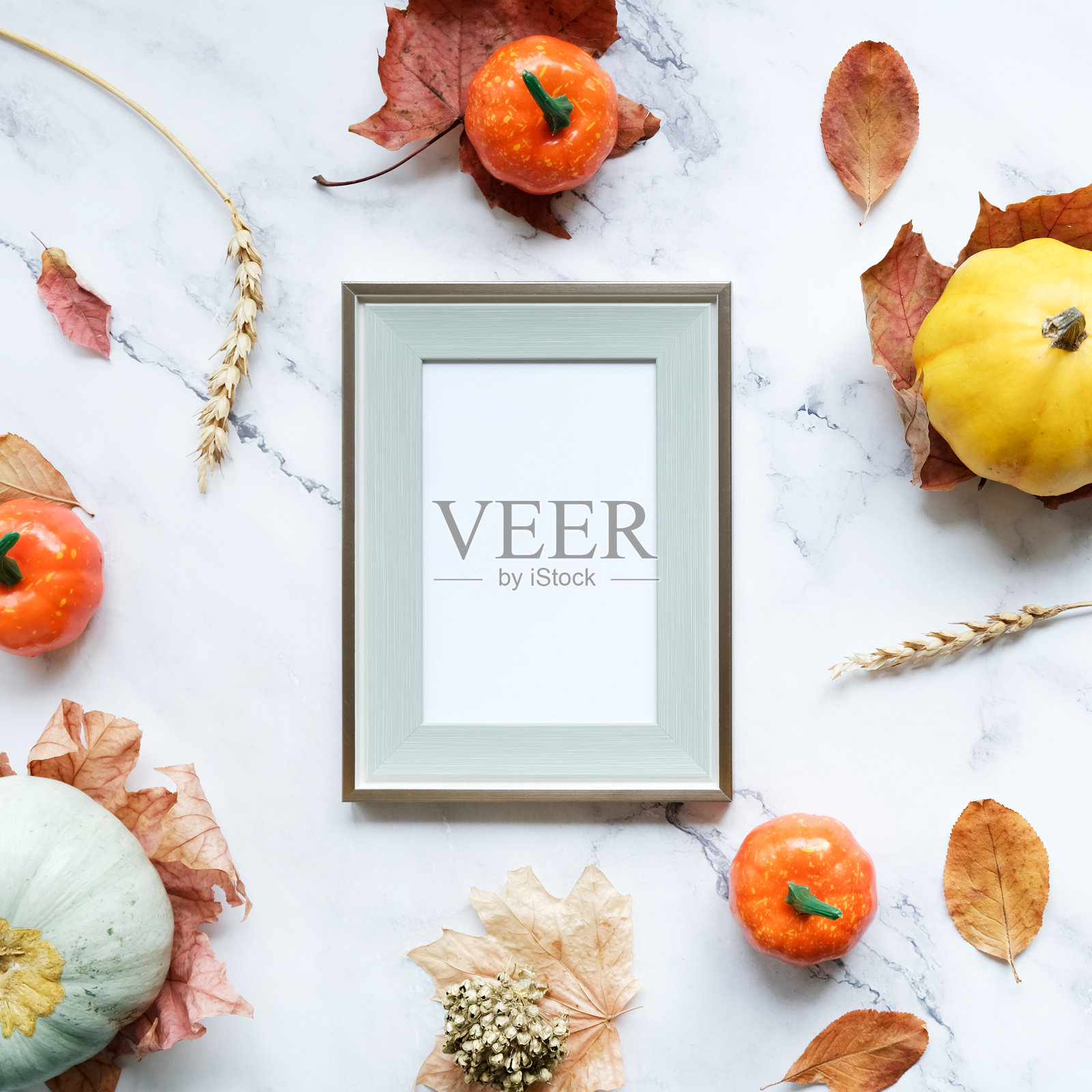 感恩节祝贺海报模型照片摄影图片