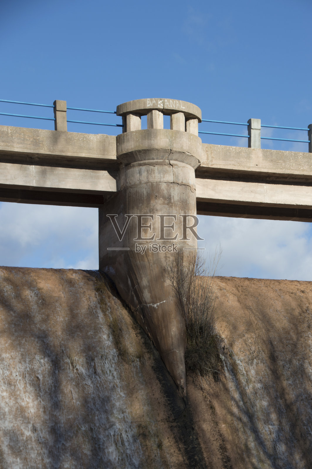 夏日阳光明媚的沼泽景象照片摄影图片