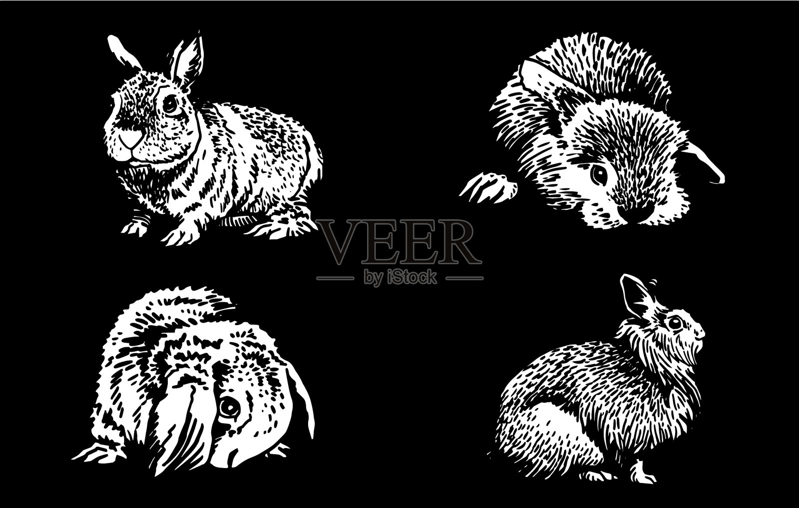 图形三维集合的兔子在黑色的背景插画图片素材