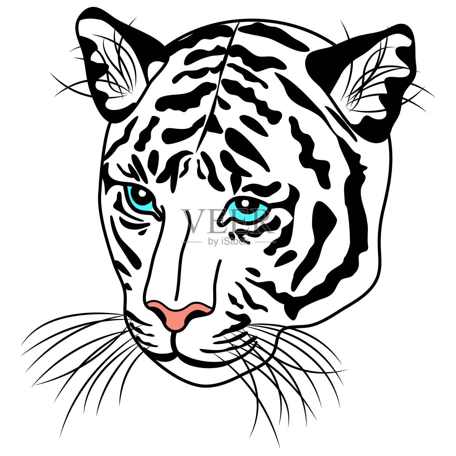 白虎对角线脸的插图插画图片素材