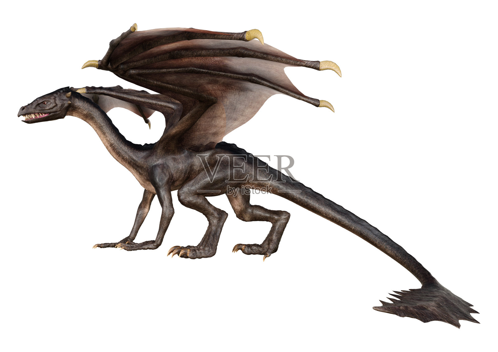 3D插图幻想龙在白色照片摄影图片