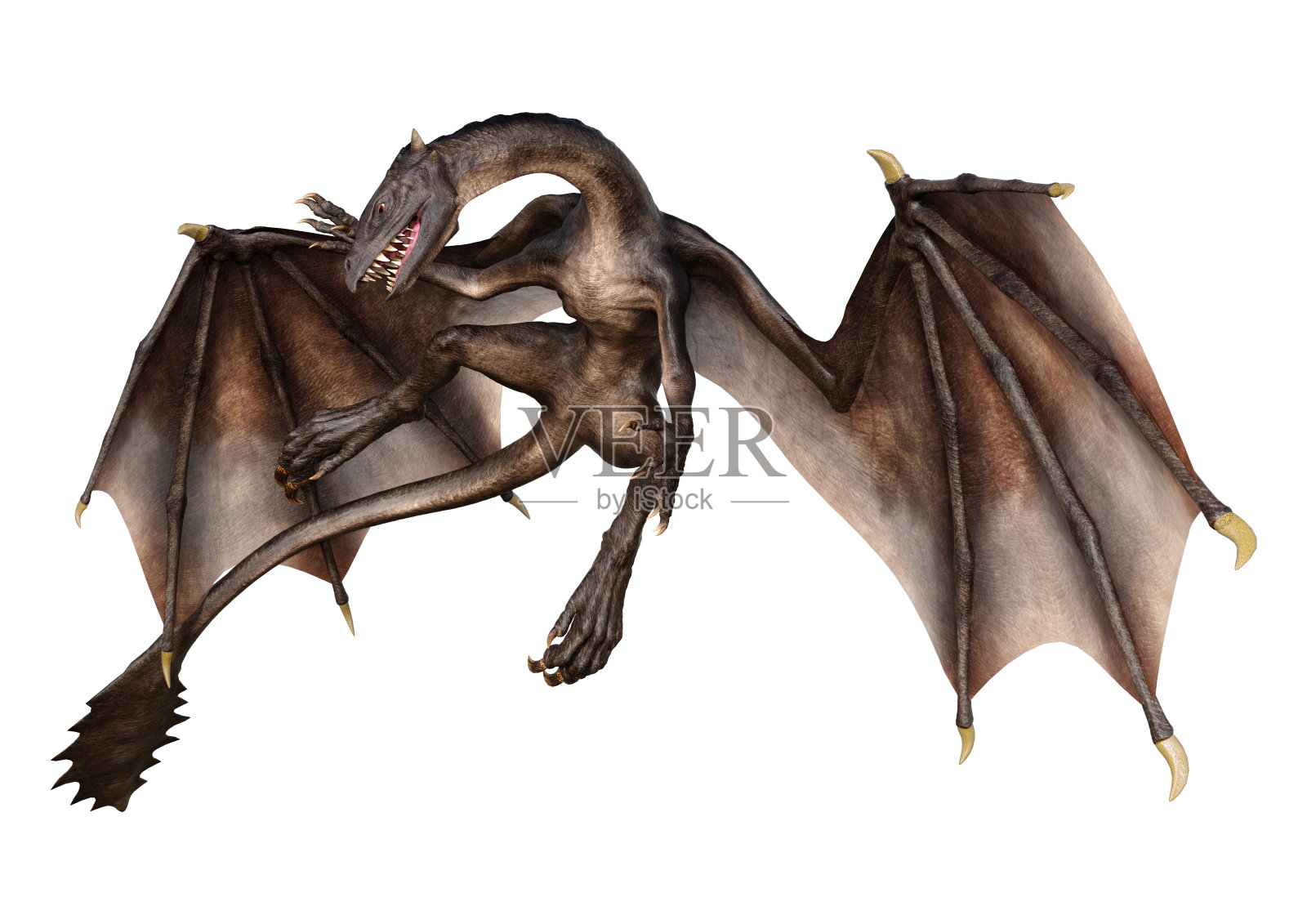 3D插图幻想龙在白色照片摄影图片