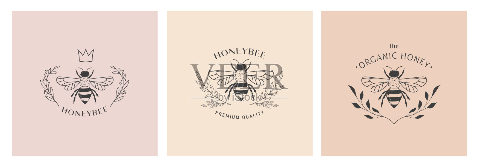 收集手绘蜜蜂，有机蜂蜜，标志，会徽，标签和包装设计插画图片素材