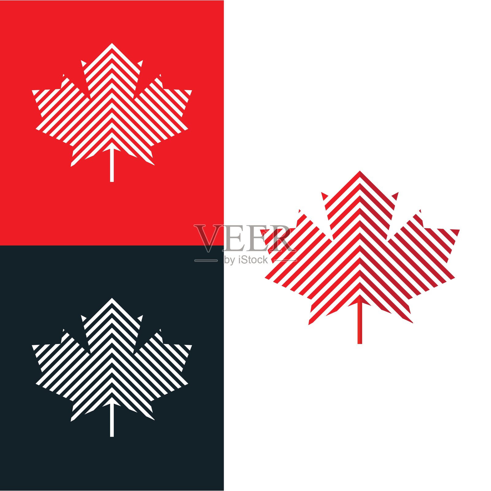 枫叶矢量图标，加拿大枫叶标志孤立在白色插画图片素材