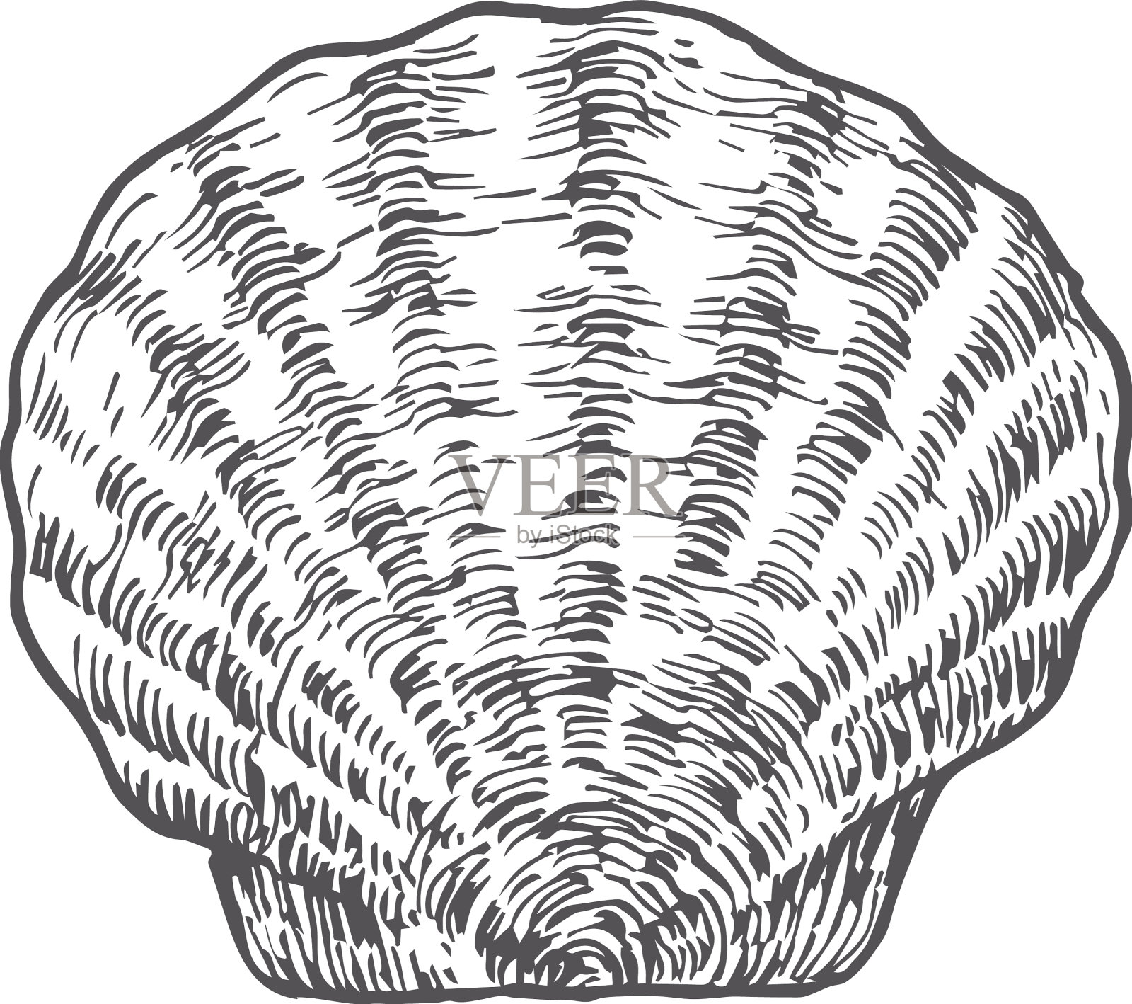 手拉闭合扇贝壳设计元素图片