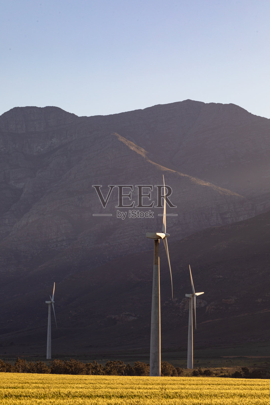 在万里无云的天空下，风力涡轮机在乡村景观的一般视图照片摄影图片