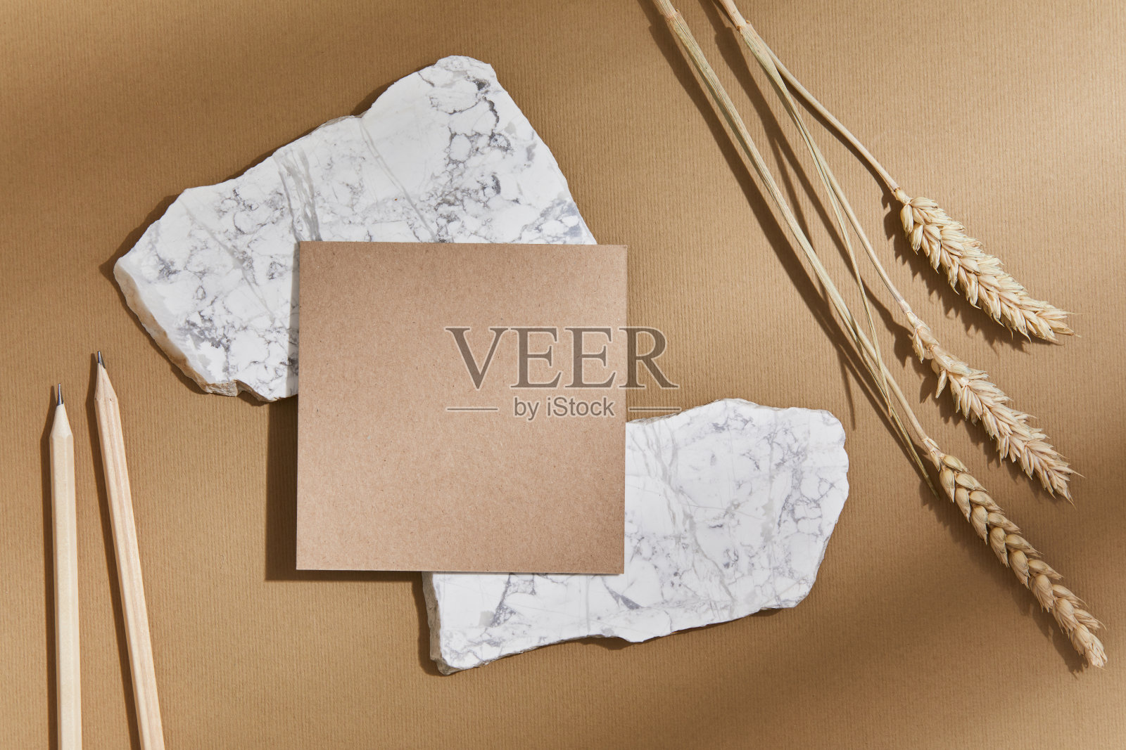 平面的时尚内饰与模拟参观卡，纺织品，岩石，木材，天然材料，铅笔，干燥的植物和个人配件。中性色，俯视图，模板。照片摄影图片