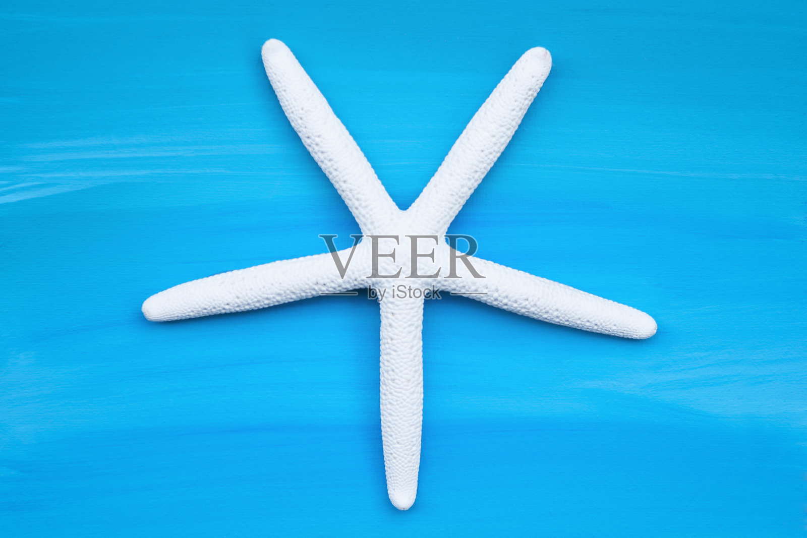 蓝色海星照片摄影图片