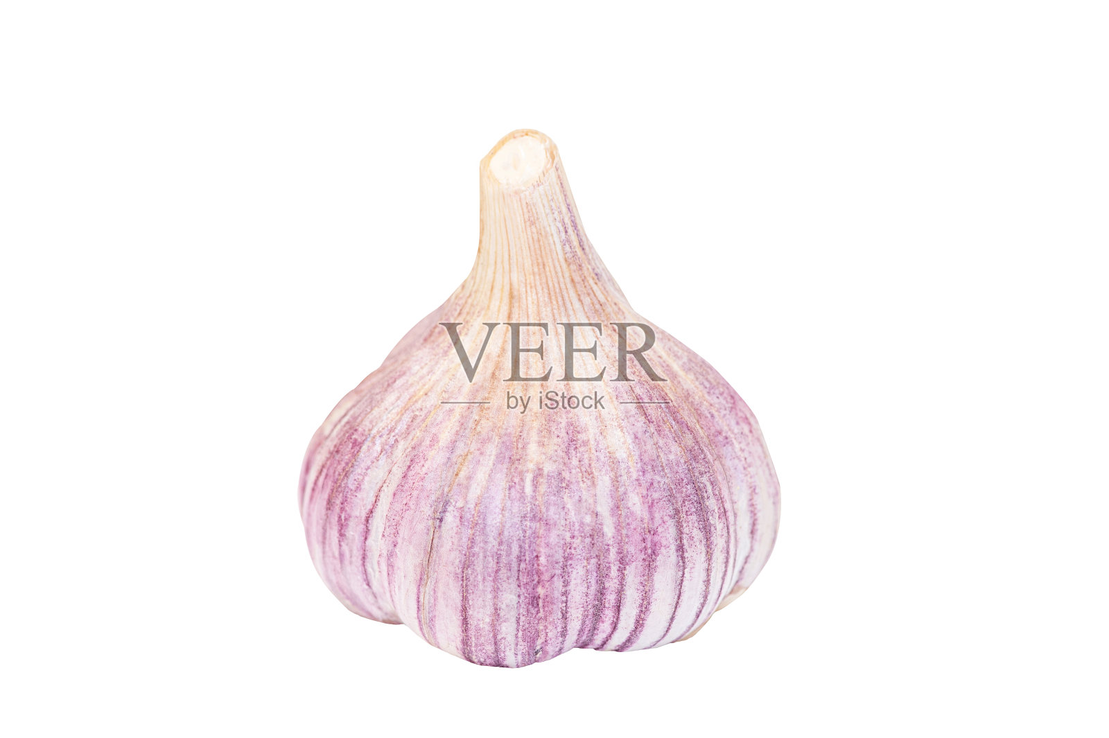 蒜头分离在白色背景上照片摄影图片