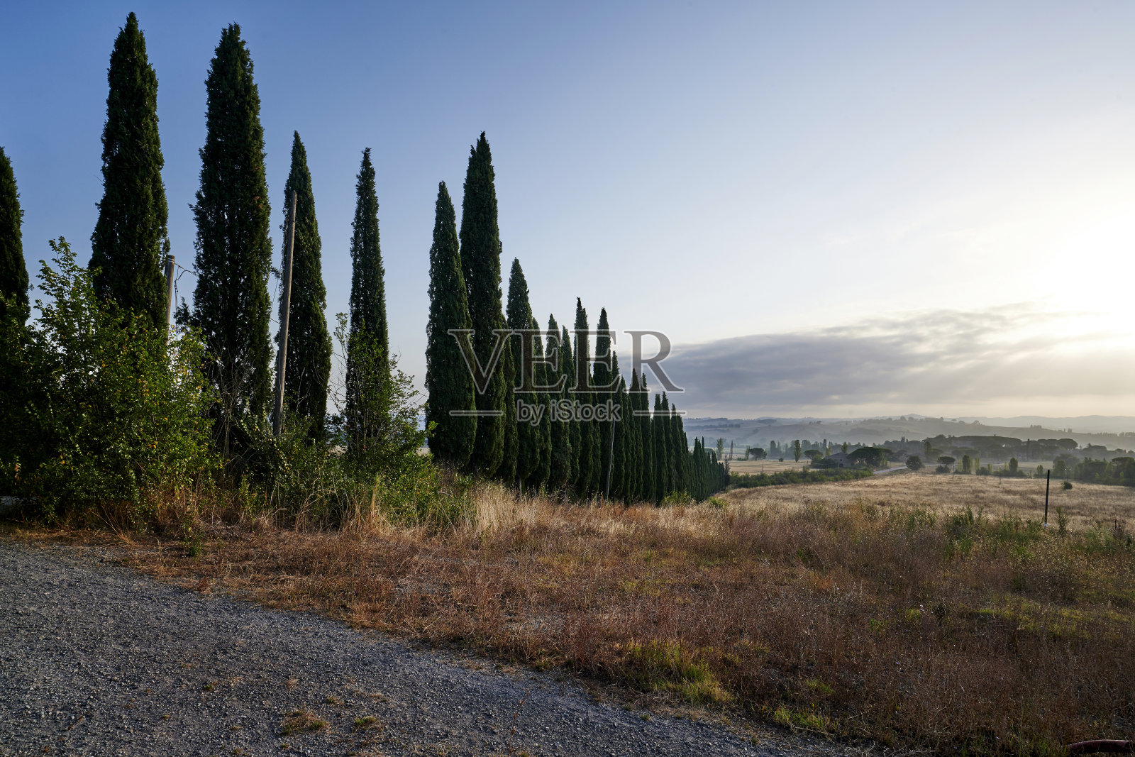 景观在托斯卡纳照片摄影图片