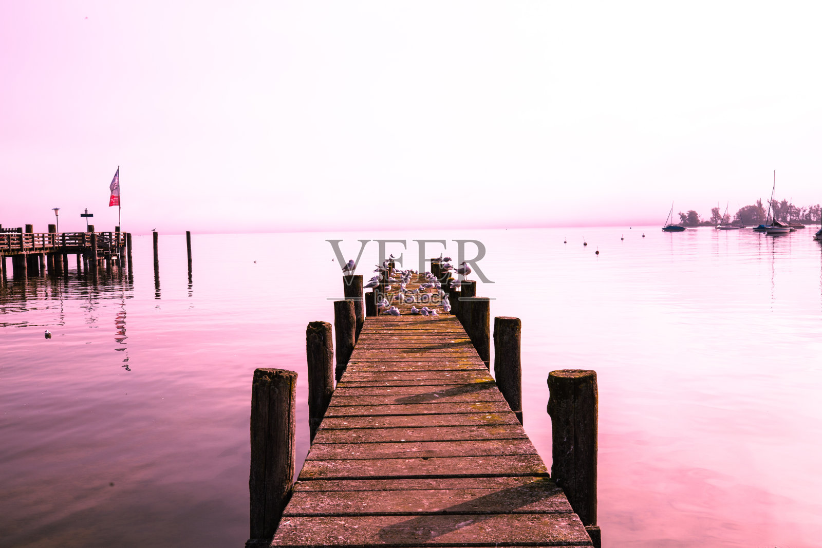 海鸥在安默西号的着陆台上，早晨的心情照片摄影图片