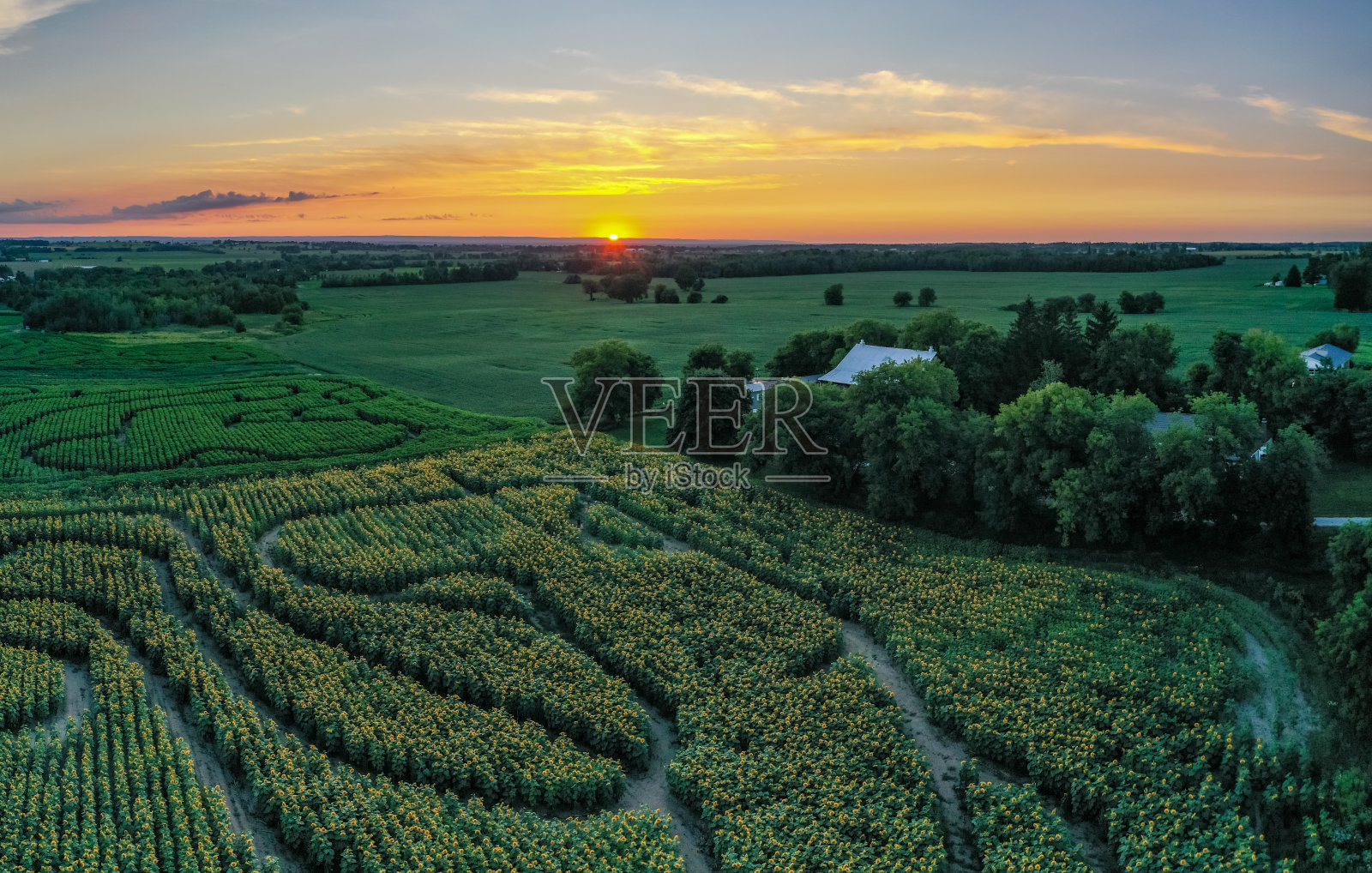 加拿大库克敦，夕阳下27号公路上的农场照片摄影图片