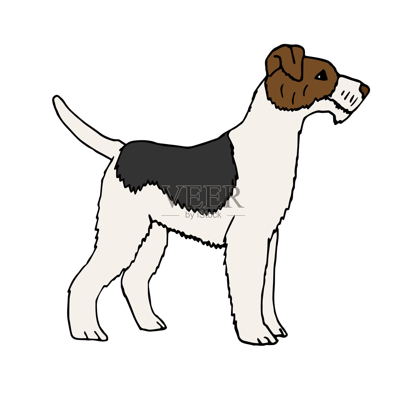 矢量手绘涂鸦素描彩色狐狸梗狗设计元素图片