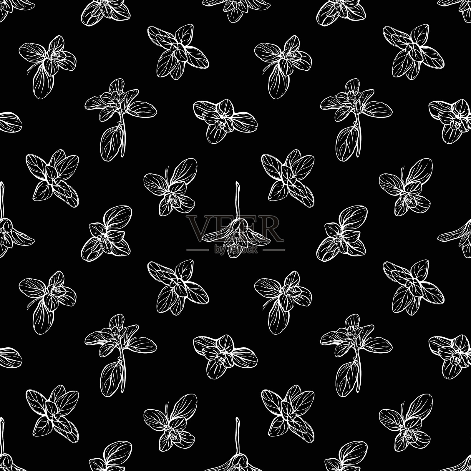 罗勒无缝图案意大利香草插画图片素材