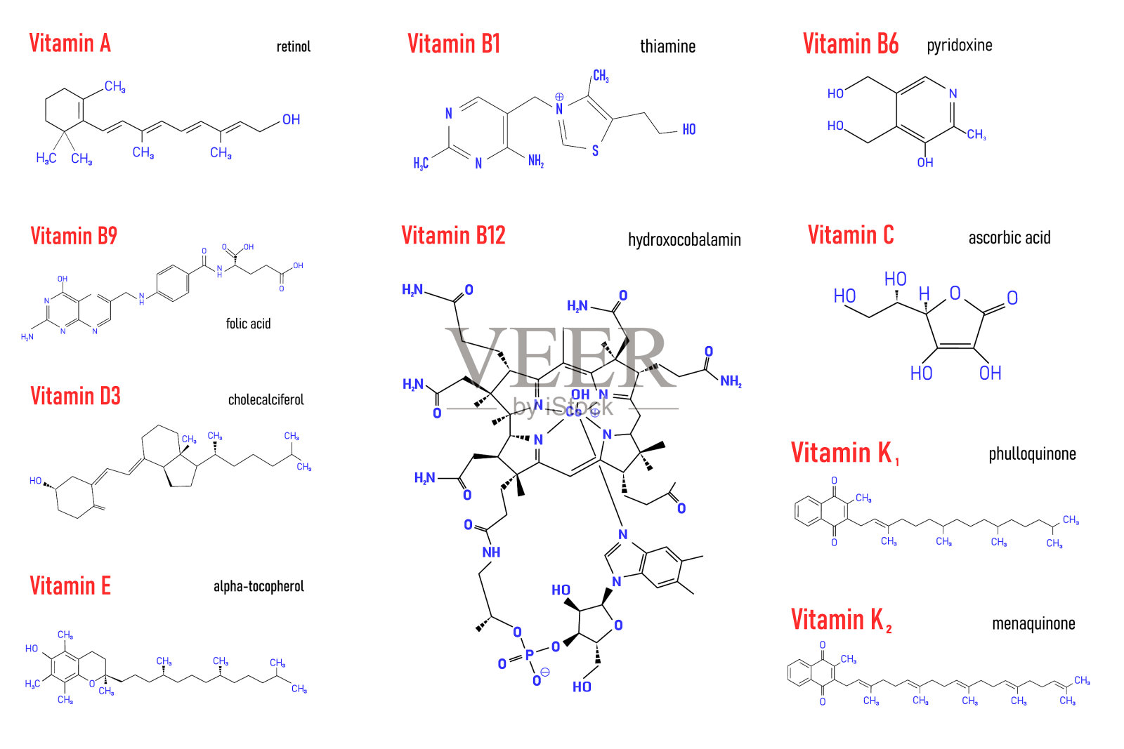 维生素b1 b6 b9 b12 k a e c插画图片素材