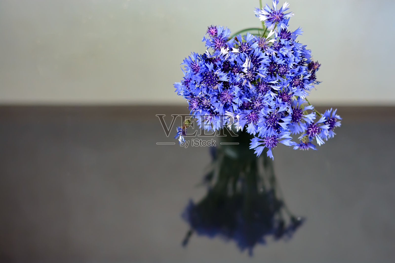 一束蓝色的野花照片摄影图片