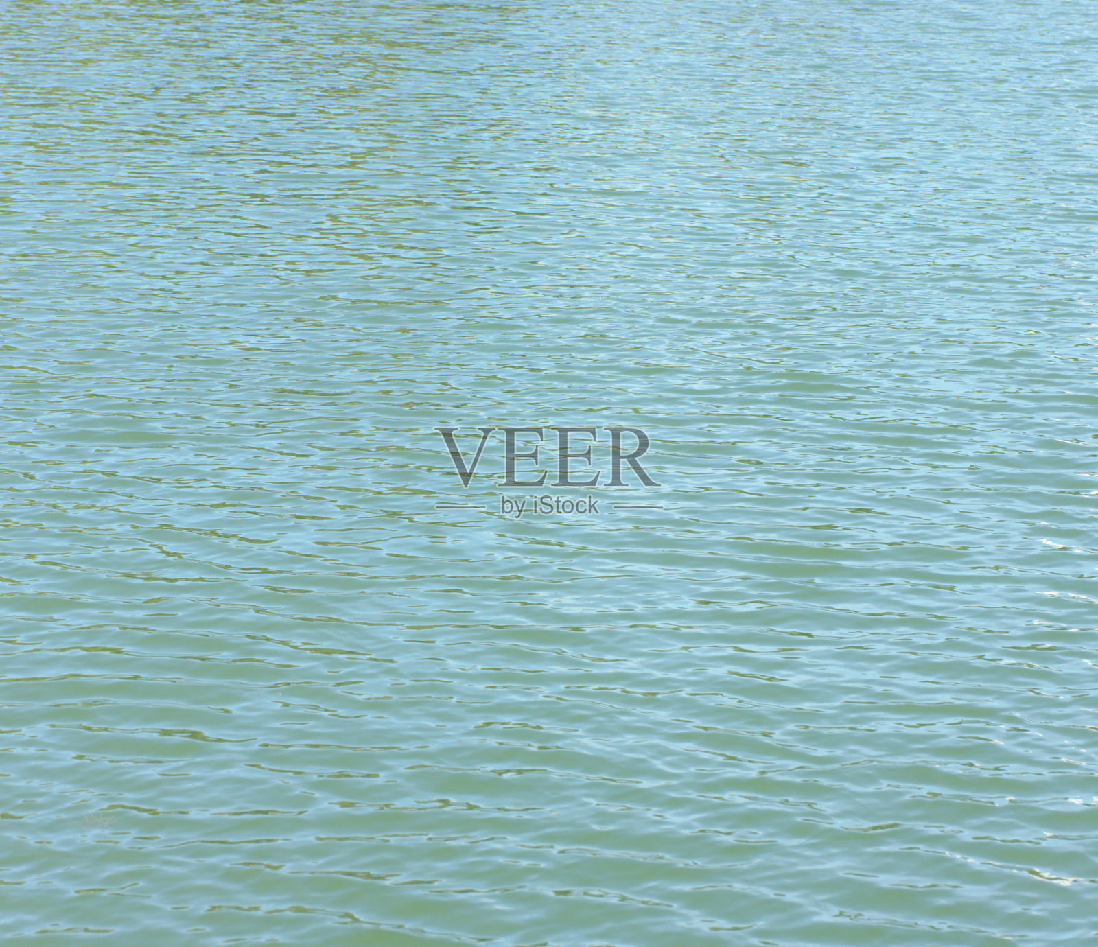 在干燥晴朗的夏日，城市公园池塘的水面上泛起涟漪照片摄影图片