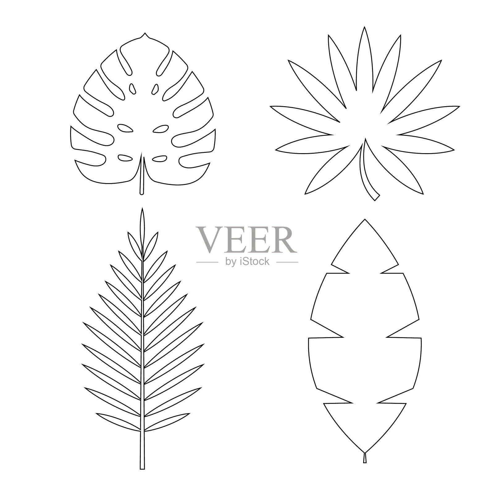 热带棕榈怪物叶子图标孤立插画图片素材