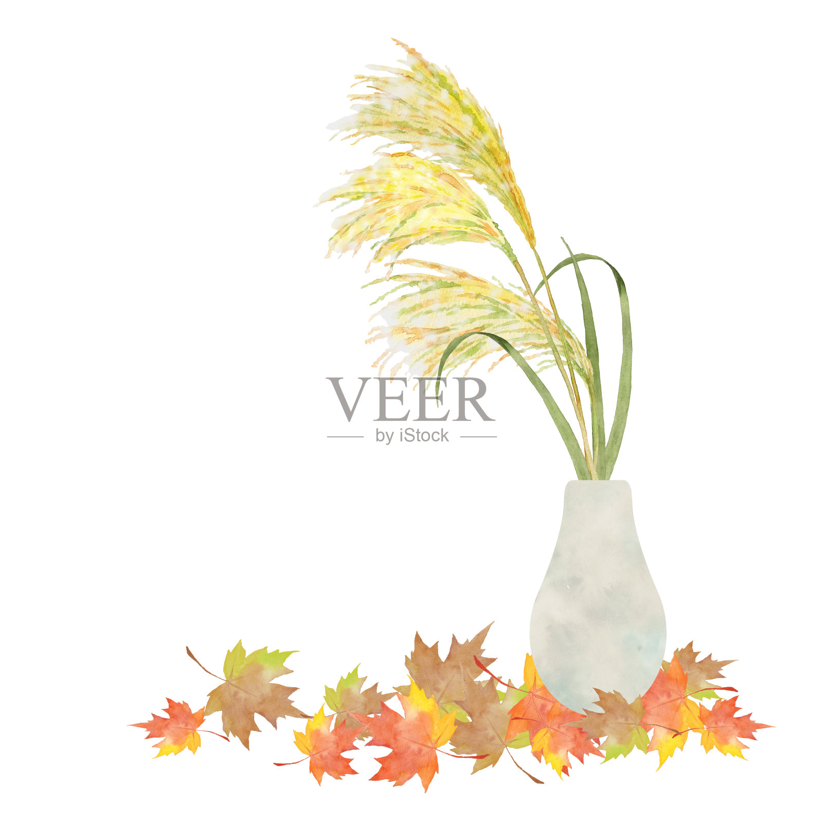 有秋天叶子的日本芒插画图片素材