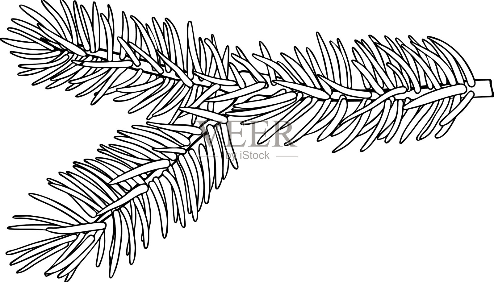 杉木枝干-用铅笔画的设计元素插画图片素材