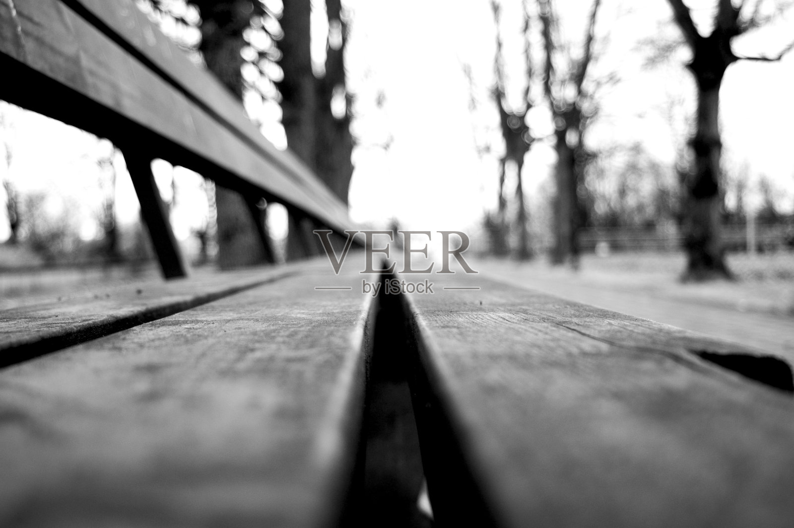 城市公园里的木凳照片摄影图片