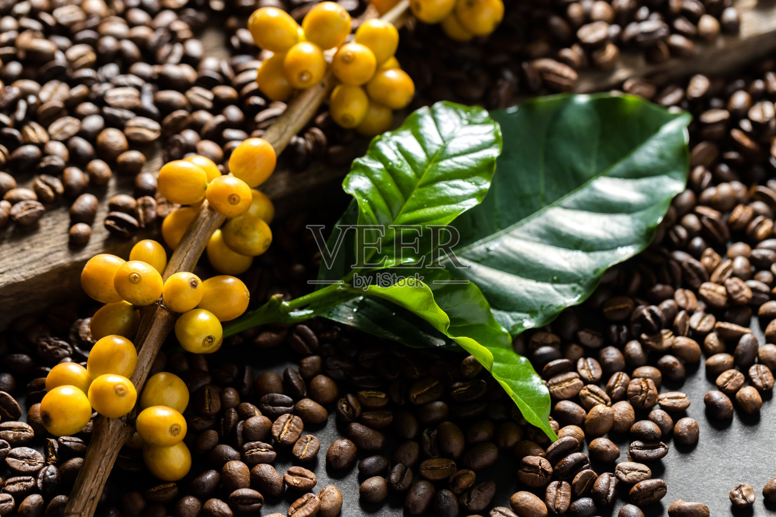 木制背景上的咖啡豆在咖啡绿叶上，新鲜的咖啡豆在木制背景上照片摄影图片