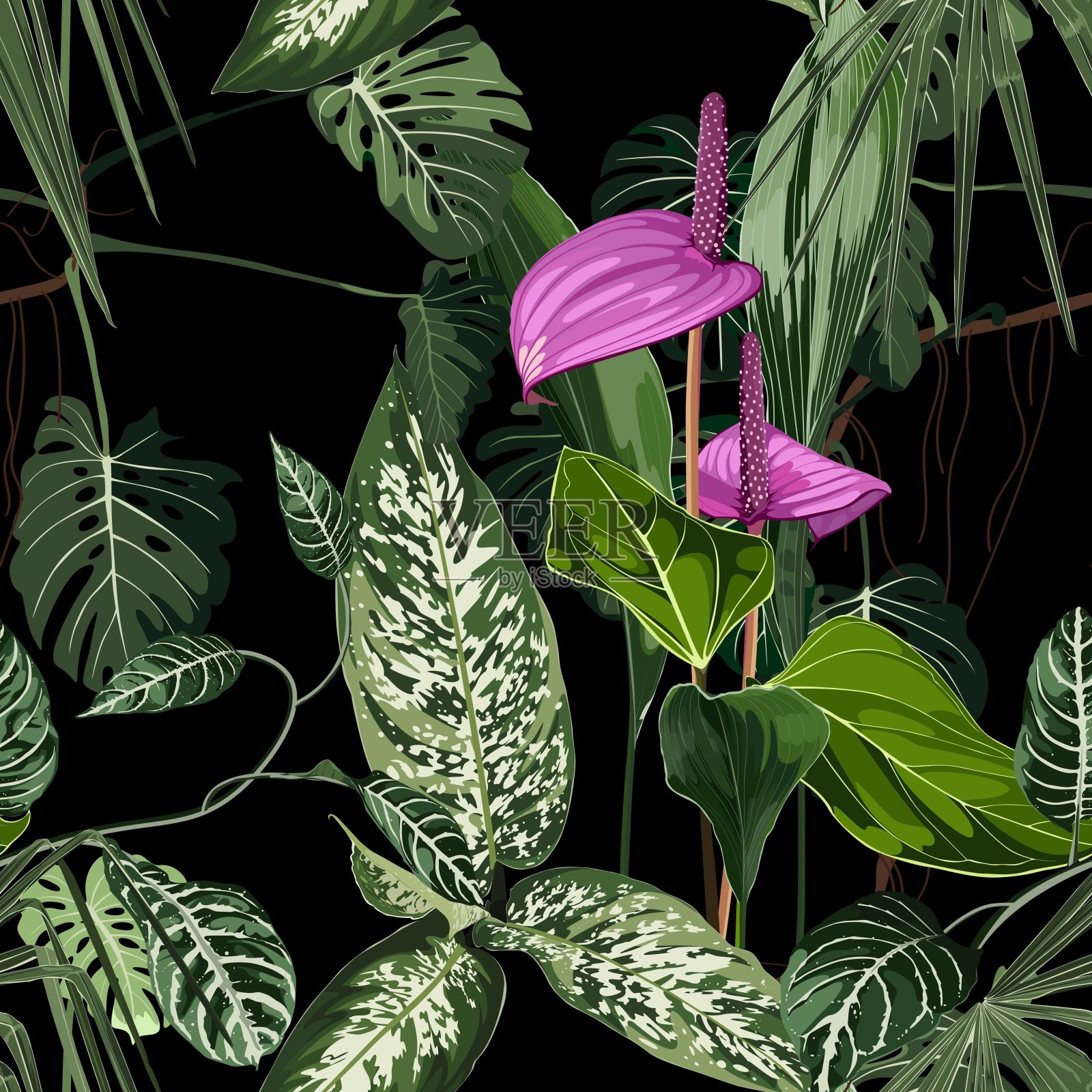 花烛属植物。无缝的花图案与紫色光泽的花和红掌和棕榈叶。黑色背景上的热带图案。插画图片素材