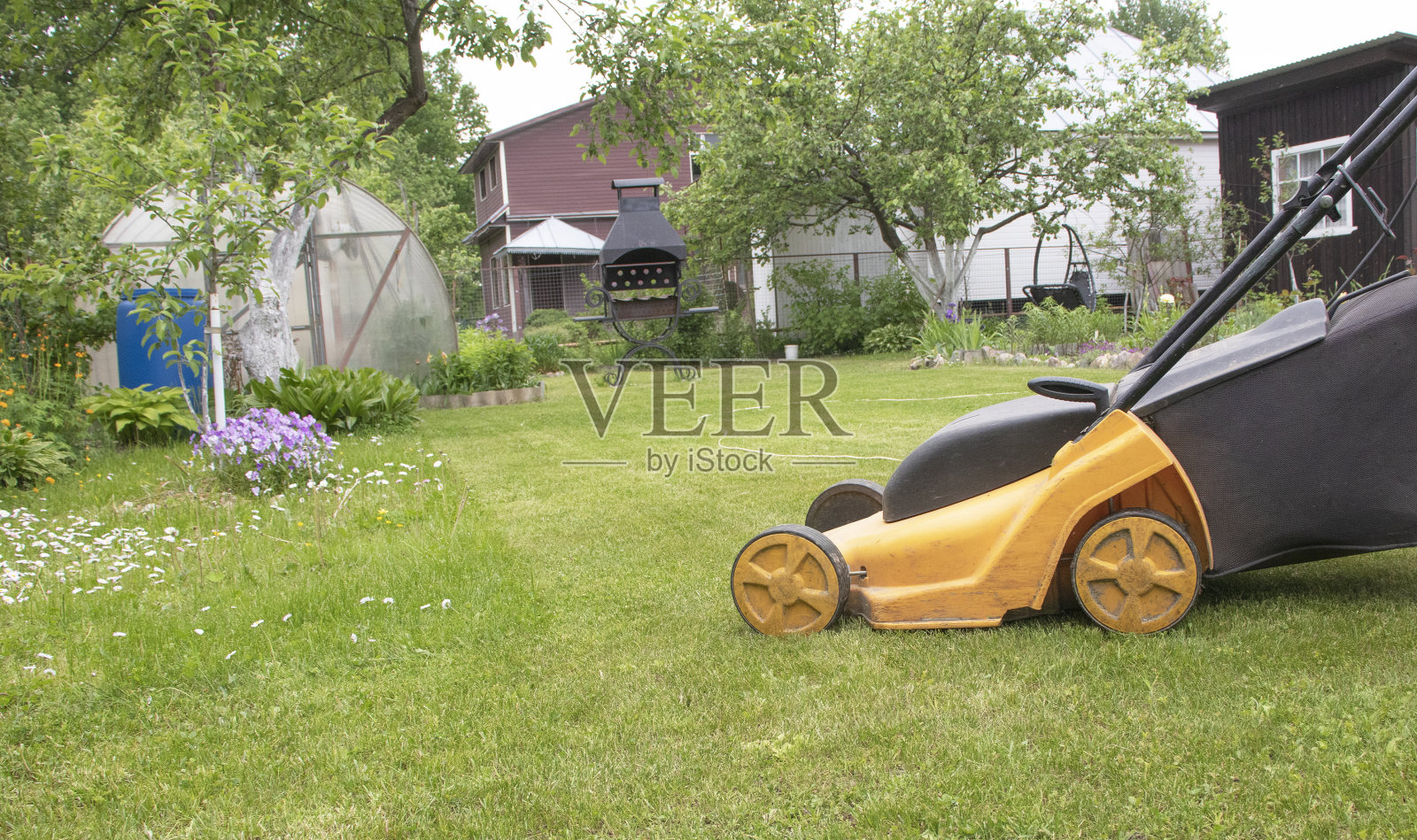 人们用割草机割草。照片摄影图片