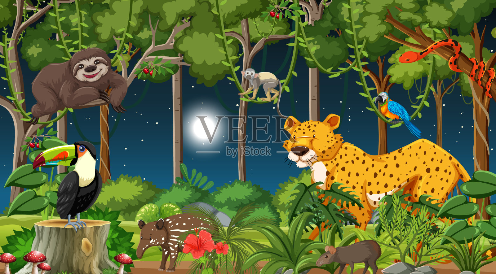 森林夜景与不同的野生动物插画图片素材