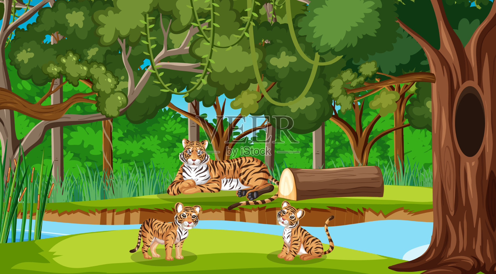 虎家人在森林或雨林的场景插画图片素材