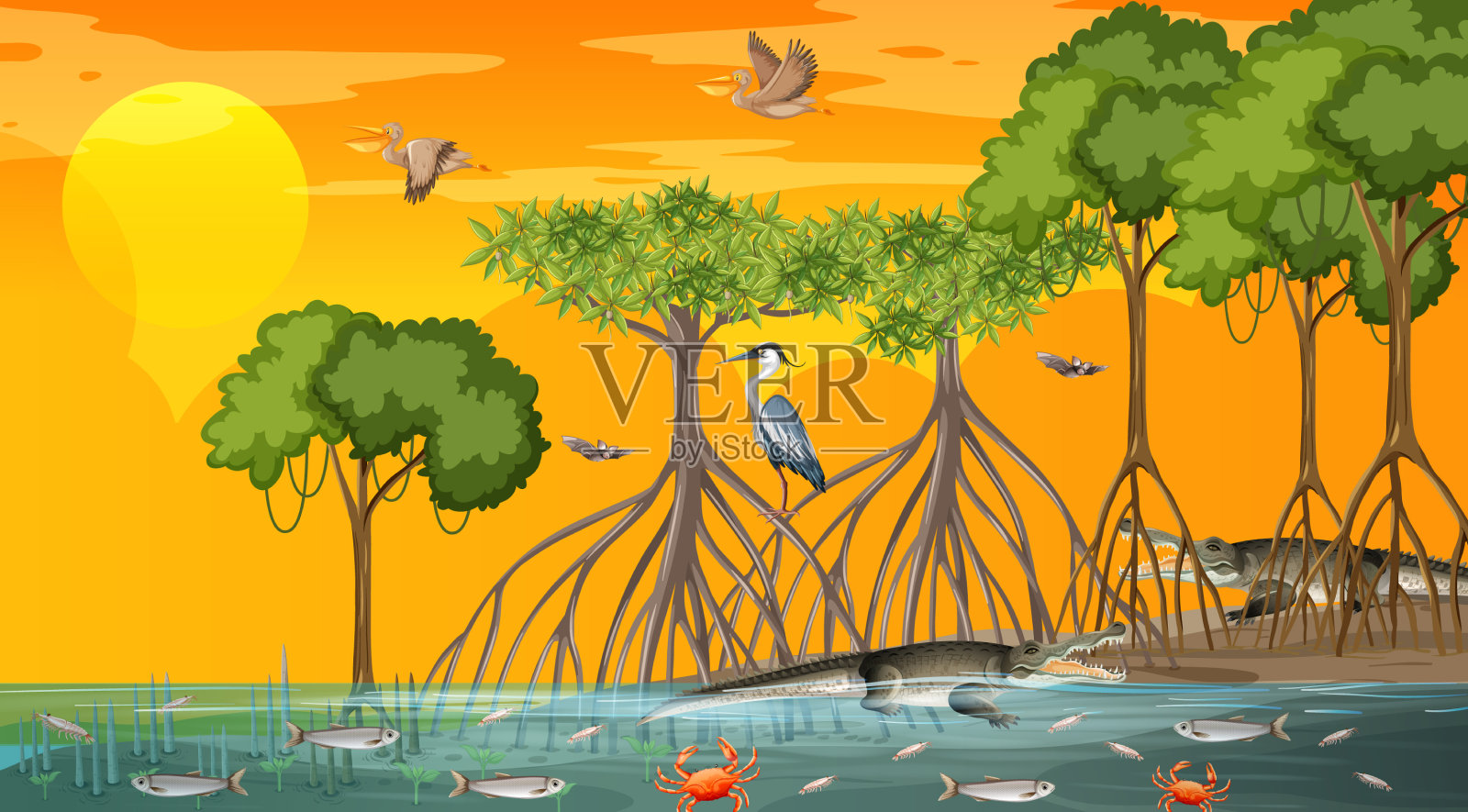 日落时分的红树林景观插画图片素材